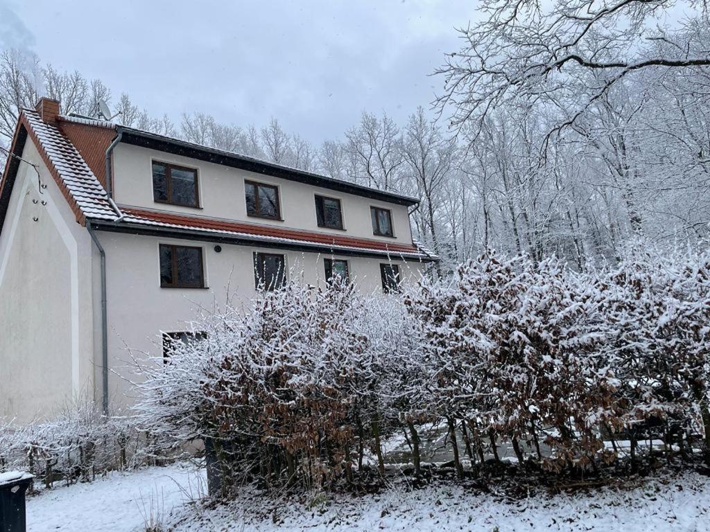 Apartment Am Hochwald Reinhardtsdorf-Schona Eksteriør billede